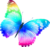 butterfly_PNG1041